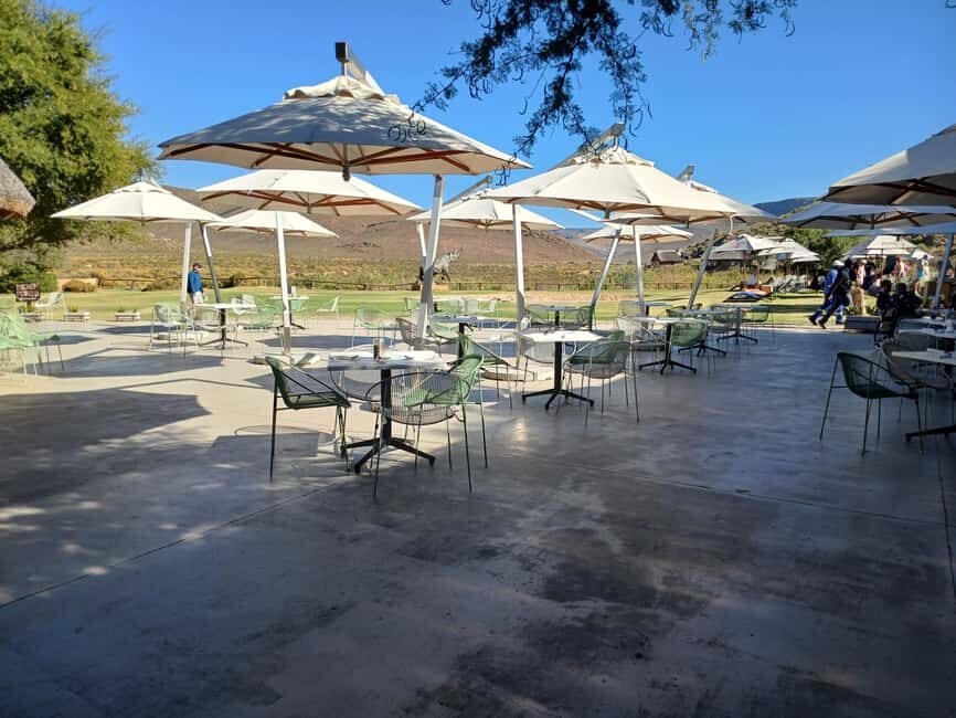 All inclusive 1 night Big Five Safari tour in from Cape Town - The Accommodation: Comfort in the Wilderness