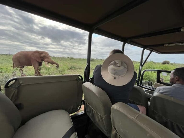 All Inclusive 3 Day Kruger Safari from Johannesburg - Who is This Tour Best For?