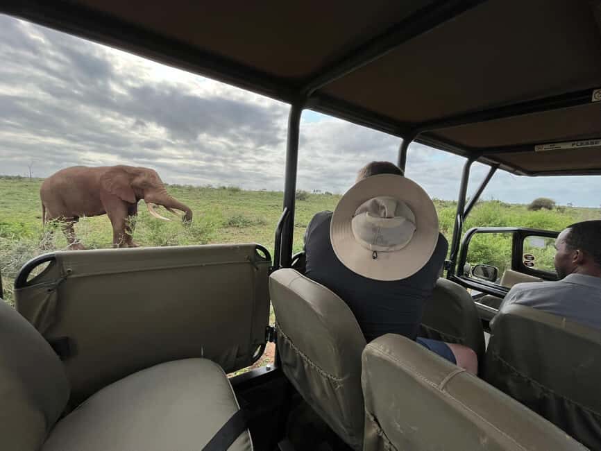 All Inclusive 3 Day Kruger Safari from Johannesburg - Who is This Tour Best For?