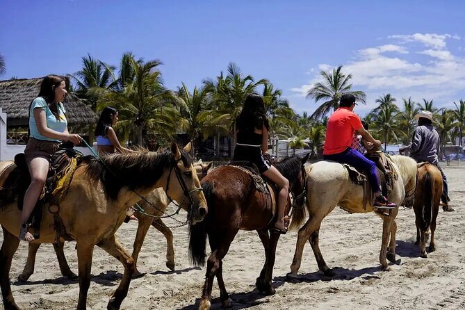All Inclusive Beach Club, Water Sports, Horse Ride, Food & Drinks - Final Thoughts