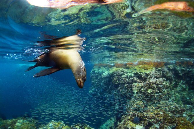 All-Inclusive catamaran Espiritu Santo Island Tour from Los Cabos - Detailed Breakdown of the Itinerary