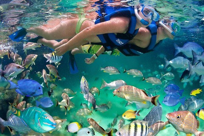 All inclusive catamaran tour to Isla Mujeres with snorkeling for the best price - Evaluating Value for Money