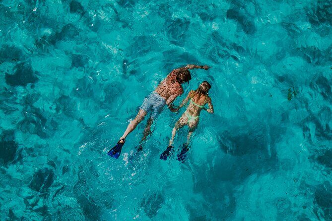 All Inclusive Cozumel: Coast & Relax 4hrs in 51" Leopard - Authentic Experiences and What Travelers Are Saying