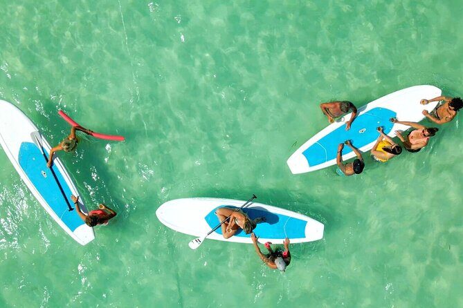 All-Inclusive Sandbar Safari with Dolphin Playground Encounter - FAQ