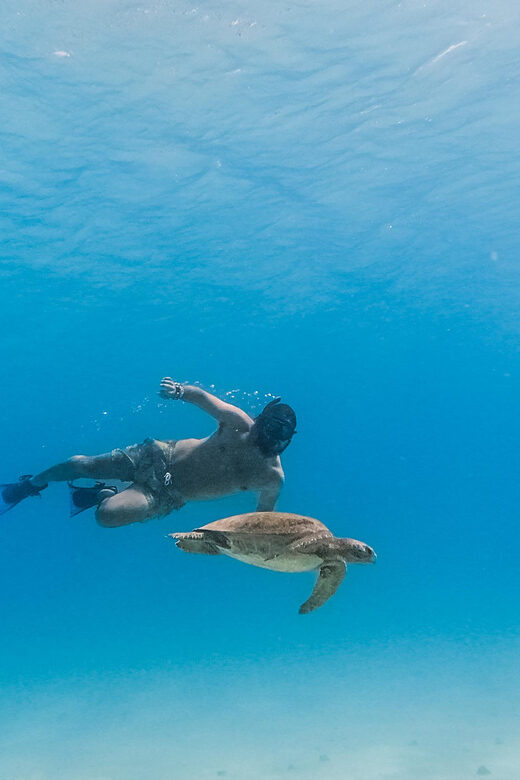 All-inclusive Snorkel in Balandras Hidden beaches, La Paz - Transportation, Group Size, and Overall Comfort