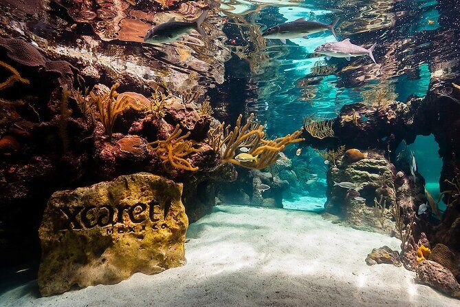 All-inclusive Xcaret Park with Transportation from Cancun & Playa Del Carmen - Who Should Consider This Tour?