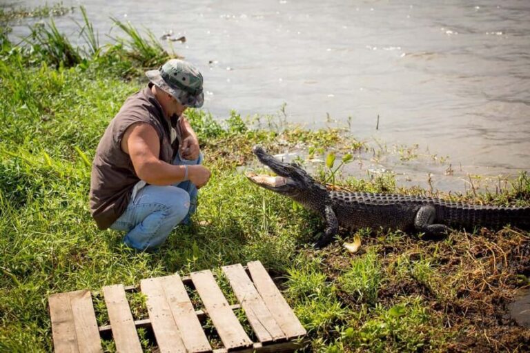 Alligator Swamp Tour by Gray Line New Orleans - Authenticity and Tour Highlights Based on Reviews
