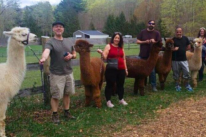 Alpaca and Llama Trek in Pleasant Valley - Who This Tour Is Best For