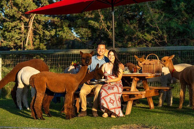 Alpaca Picnic Experience in Oregon - The Sum Up: Who Is This Tour Best For?
