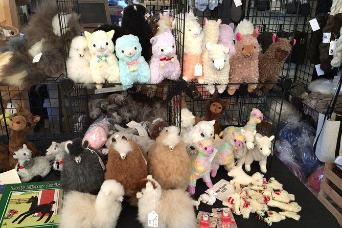 Alpaca Ranch and Fiber Processing Mill Tour - The Sum Up: Who Should Book This Tour?