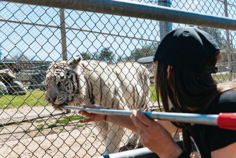 Alpine: Lions Tigers & Bears Sanctuary Visit and Feeding - Who Will Enjoy This Tour?