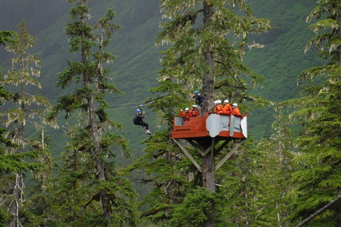 Alpine Zipline Adventure in Juneau, AK - What Do Reviews Say?