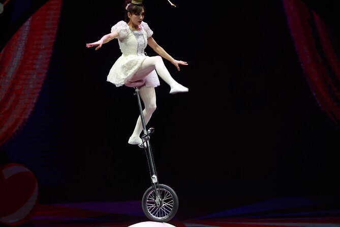 Amazing Acrobats: Grand Shanghai Circus Show in Branson - Authentic Experiences and Real Visitor Insights