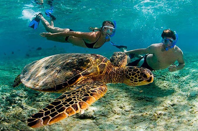 Amazing Adventure in Akumal. Swim with turtles and discover Tulum Ruins. - A Detailed Breakdown of the Day