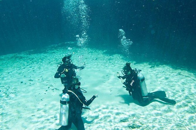 Amazing beginner dive in Tulum cenote (or refresher dive) - A Close Look at the Experience