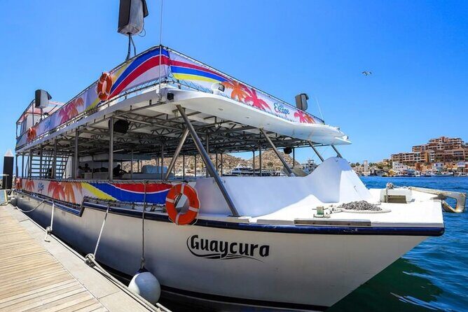Amazing Cabo and Snorkel Adventure - Practical Tips for Booking and Enjoying the Tour