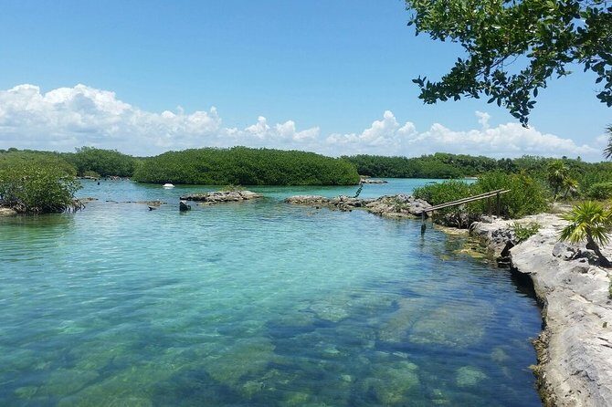Amazing Cenote Yalku, swim in sacred waters. Transport & Guide - The Practicalities and What to Expect