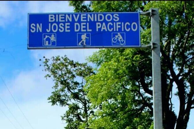 Amazing experience in the mountain of San Jose del Pacifico - Authentic Touches and Genuine Reviews