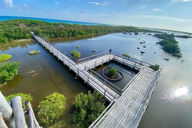 Amazing Jeep Tour Visit Punta Sur Park and San Gervasio Ruins - Who Will Love This Tour?