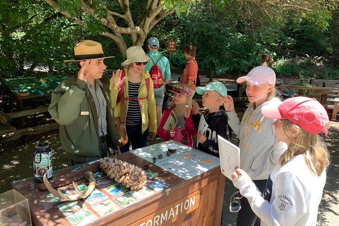 Amazing Muir Woods and Sausalito Tour - Who Will Love This Tour?