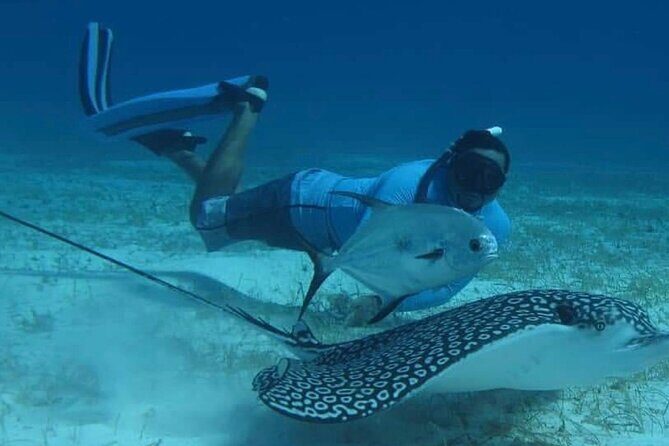 Amazing Snorkel Adventure! Round Transportation From Cancun - FAQ