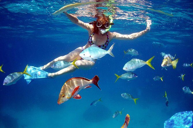 Amazing snorkeling full-day tour to Cozumel Cielo Starfish Reef - The Breakdown of the Tour Experience