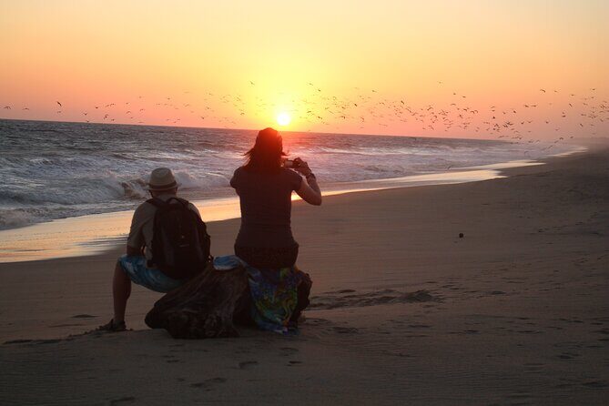Amazing Turtle Release Tour - FAQs
