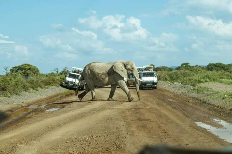Amboseli Day Trip Tour With Maasai Village Visit - The Magic of Mount Kilimanjaro
