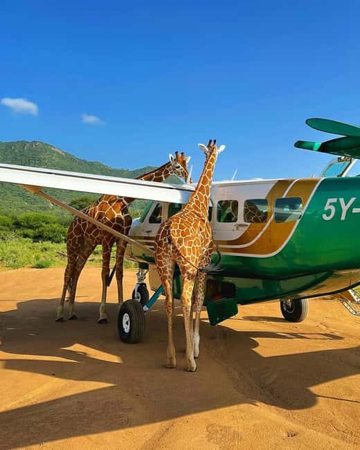 Amboseli National Park: Safari with Accommodation - What’s Included and What’s Not