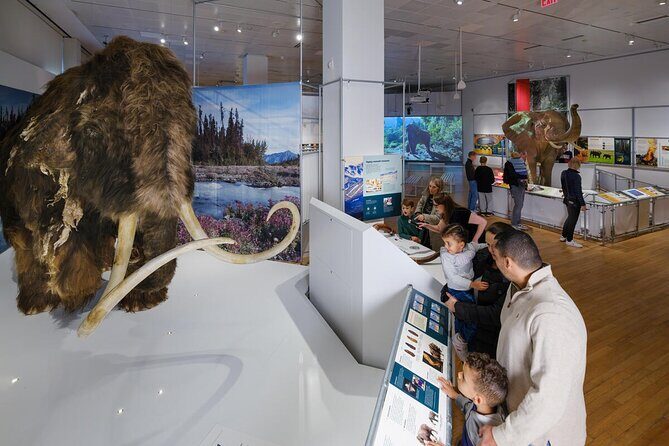 American Museum of Natural History Admission Ticket - What’s Included with Your Ticket