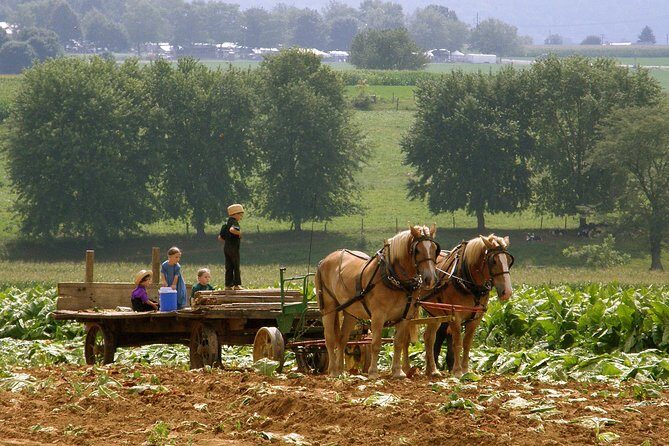 Amish Experience SuperSaver Package - Authenticity and Guides