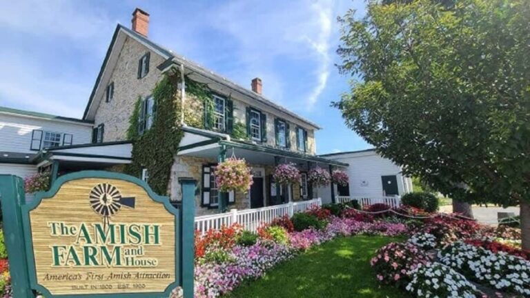 Amish Farm and House 1-Day Tour From Washington D.C. - How the Tour Balances Price, Time, and Experience