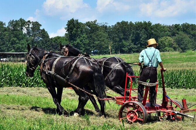 Amish Farmlands Tour - Who Will Appreciate This Tour?