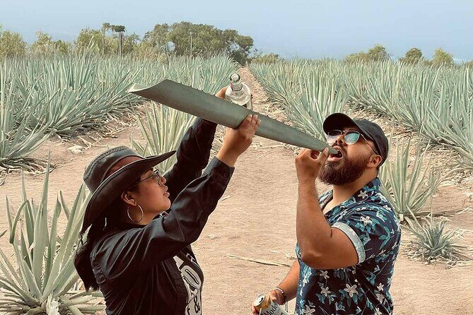 An adventure for the senses: Mezcal, fields and crafts. - Practical Details and Value
