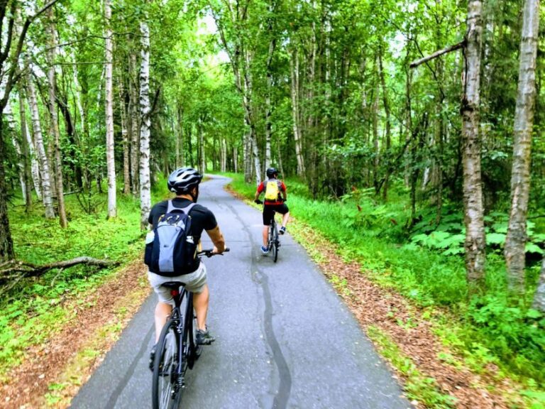 Anchorage: Coastal Trail 3-Hour City Bike Tour - What Makes This Tour Special?