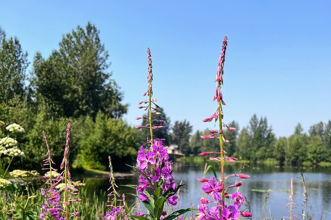 Anchorage Greenbelt Bike Tour - The Sum Up