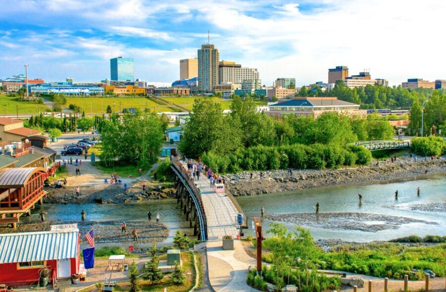 Anchorage: Guided Food and Sightseeing Tour by Van - Who Will Love This Tour?