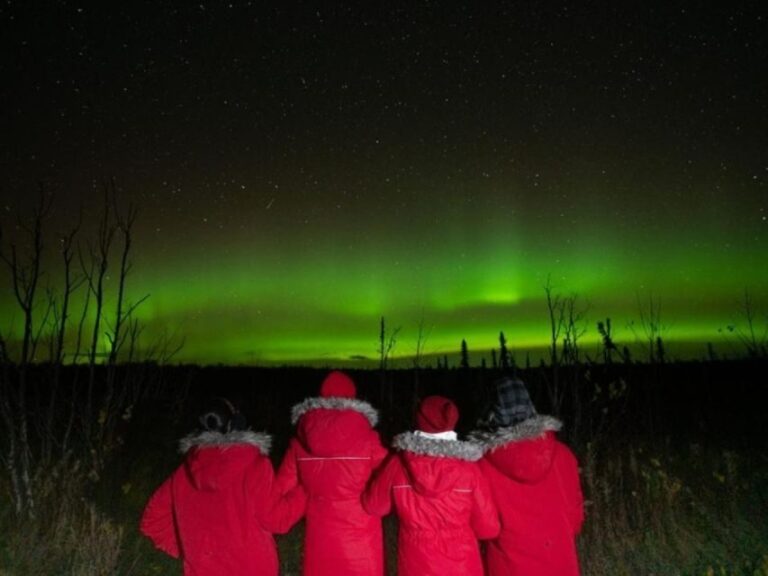 Anchorage: Nighttime Northern Lights Tour - Final Thoughts: Is It Worth It?