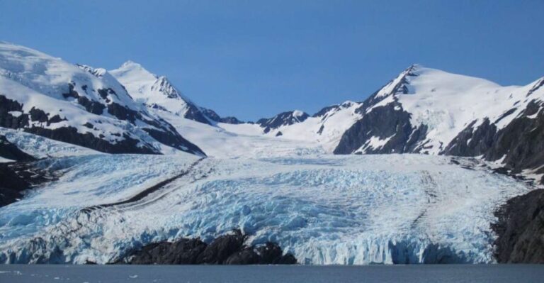 Anchorage: Portage Glacier and Wildlife Explorer Cruise - The Itinerary in Detail