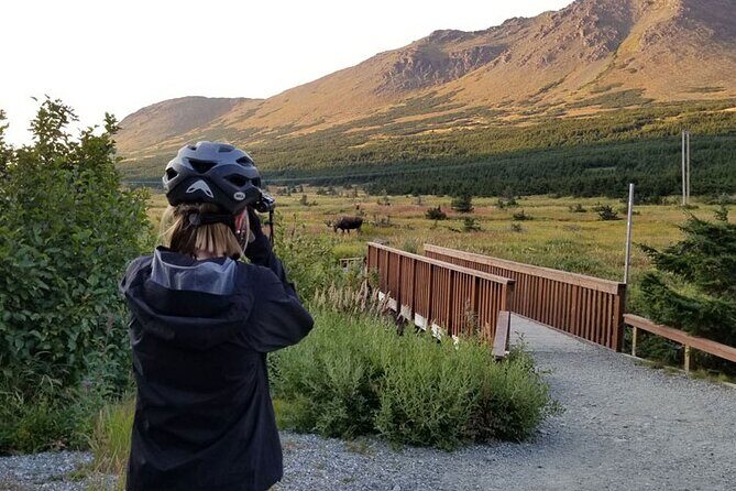Anchorage Scenic Mountain Bike Tour - Itinerary Breakdown: A Closer Look
