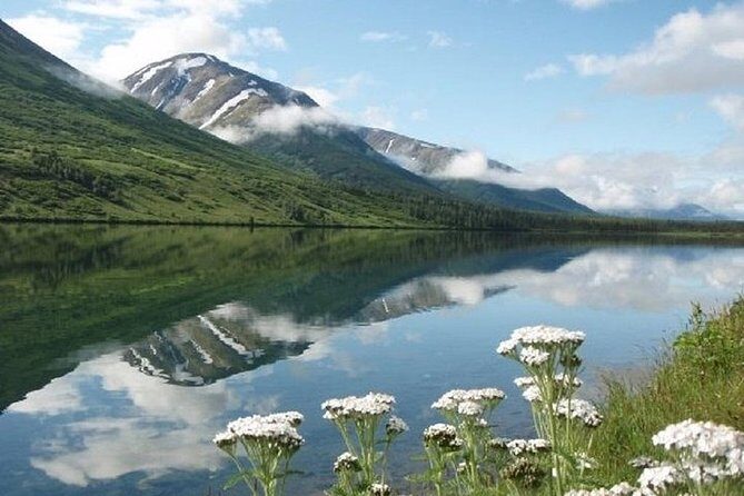 Anchorage to Whittier Cruise Transfer and Private Tour - The Experience in Practice