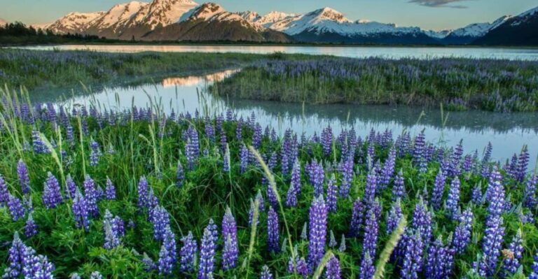 Anchorage: Turnagain Arm Highlights Photography Day Trip - The Itinerary in Detail