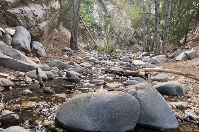 Angeles Forest Waterfall Hiking Tour - Final Thoughts: Is This the Hike for You?
