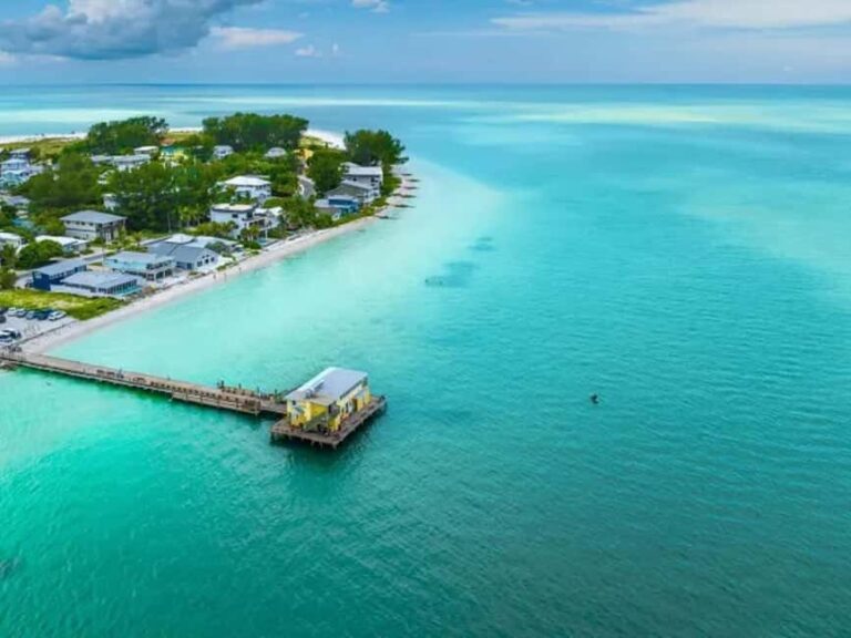 Anna Maria Island: Dolphin Cruise - The Practical Side: Logistics and Value