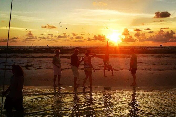 Anna Maria Island Dolphin Sunset Boat Tour - The Experience: Value, Comfort, and Group Size