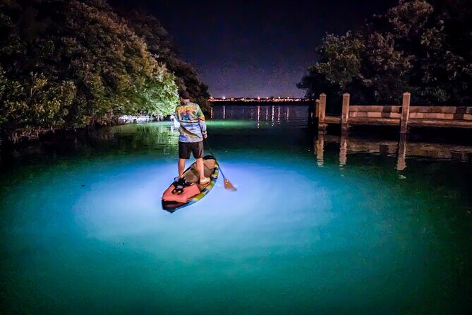 Anna Maria Island Paddleboard Tours - Similar Experiences