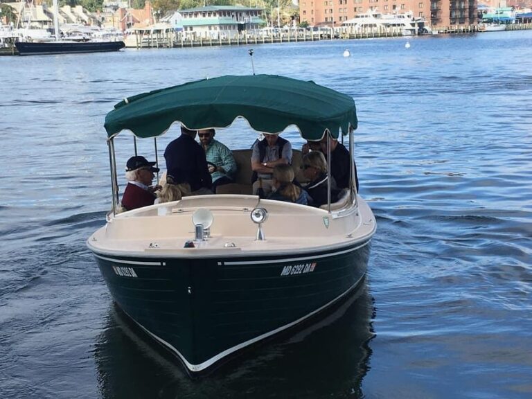 Annapolis: Electric Boat Rental - Duffy Sun Cruiser - 10ppl - What to Expect on Your Cruise