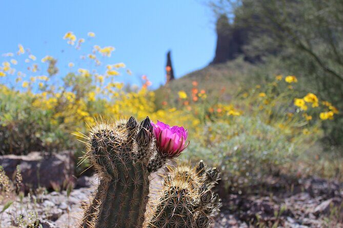 Apache Trail Private Half-Day Tour - FAQ