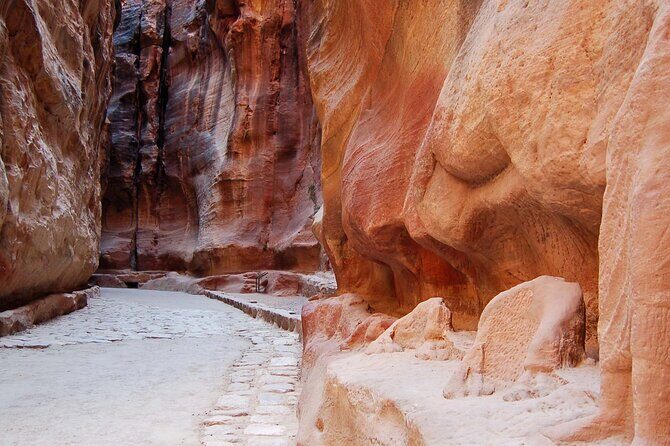 Aqaba Shore Excursion: Private accessible Petra Tour - Who Will Love This Tour?