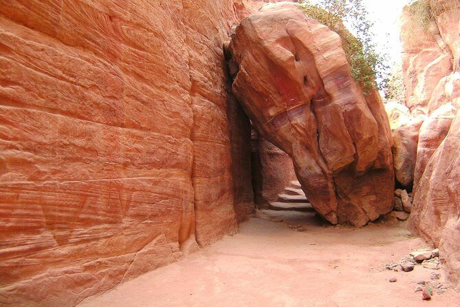 Aqaba Shore Excursion: Private Petra Sightseeing Tour with Lunch - The Itinerary: What to Expect